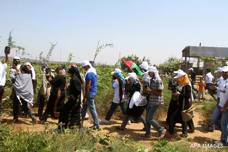 Palestinian protesters wave national flags during a demonstration on July 30, 2011 on the outskirts of Gaza City against the military zone Israel created on Palestinian land, east of the city, as a buffer between its bor...