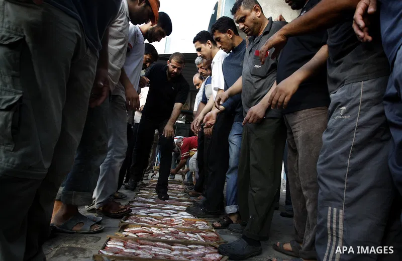 Palestinian fishermen show thier catch after a night at the sea in the port of Gaza City on Aug 4, 2011 .Fishermen, suffer from the tightening of the Israeli siege imposed on Palestinian fishermen a forbidden fishermen b...
