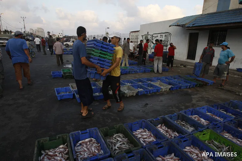 Palestinian fishermen show thier catch after a night at the sea in the port of Gaza City on Aug 4, 2011 .Fishermen, suffer from the tightening of the Israeli siege imposed on Palestinian fishermen a forbidden fishermen b...