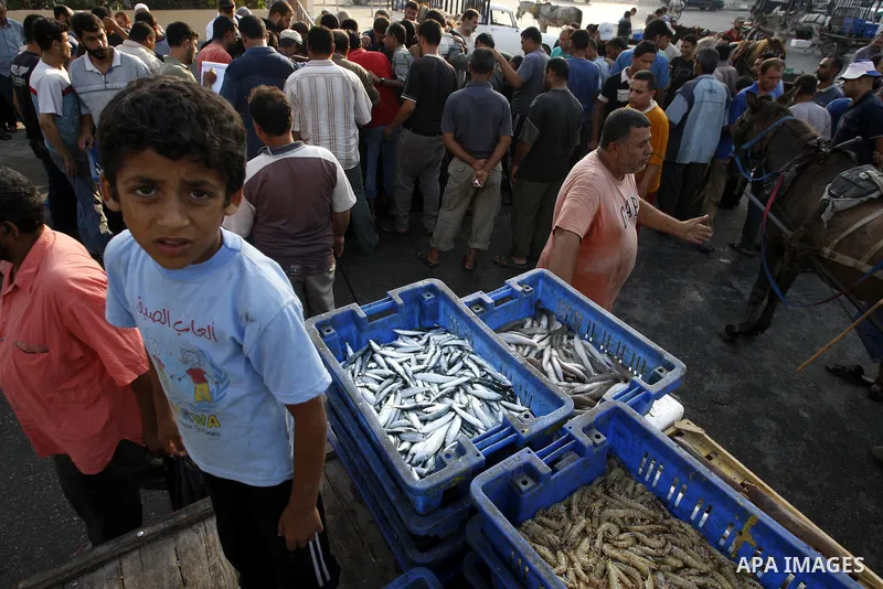 Palestinian fishermen show thier catch after a night at the sea in the port of Gaza City on Aug 4, 2011 .Fishermen, suffer from the tightening of the Israeli siege imposed on Palestinian fishermen a forbidden fishermen b...