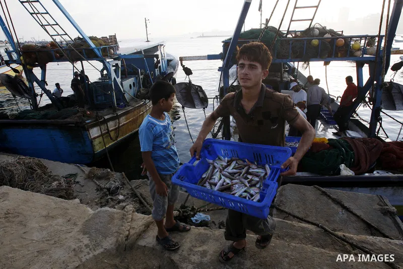 Palestinian fishermen show thier catch after a night at the sea in the port of Gaza City on Aug 4, 2011 .Fishermen, suffer from the tightening of the Israeli siege imposed on Palestinian fishermen a forbidden fishermen b...