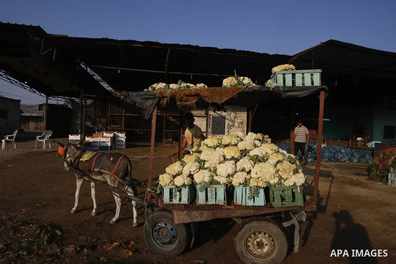 A Palestinian vendor sells vegetables at a wholesale market in Gaza city on Aug. 6, 2011. Muslims around the world abstain from eating, drinking and conducting sexual relations from sunrise to sunset during Ramadan, the...