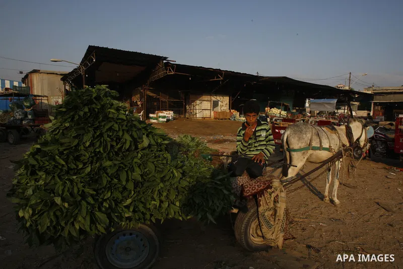 A Palestinian vendor sells vegetables at a wholesale market in Gaza city on Aug. 6, 2011. Muslims around the world abstain from eating, drinking and conducting sexual relations from sunrise to sunset during Ramadan, the...