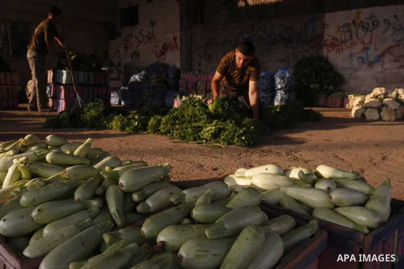 A Palestinian vendor sells vegetables at a wholesale market in Gaza city on Aug. 6, 2011. Muslims around the world abstain from eating, drinking and conducting sexual relations from sunrise to sunset during Ramadan, the...