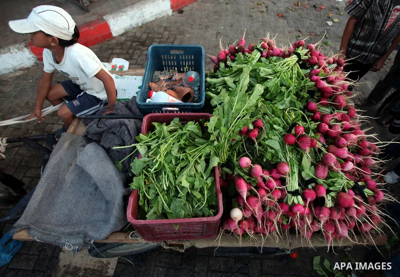 Palestinians shop for food at a market in Gaza city, August 7, 2011. Muslims around the world abstain from eating, drinking and conducting sexual relations from sunrise to sunset during Ramadan, the holiest month in the...