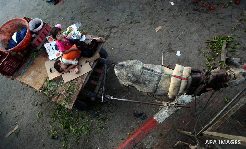 Palestinian kids sleep on a donkey cart in the market before Palestinians break their fast on the first Friday of Ramadan in the Jabaliya Refugee Camp in the northern Gaza Strip on 05 August 2011 Muslims throughout the w...
