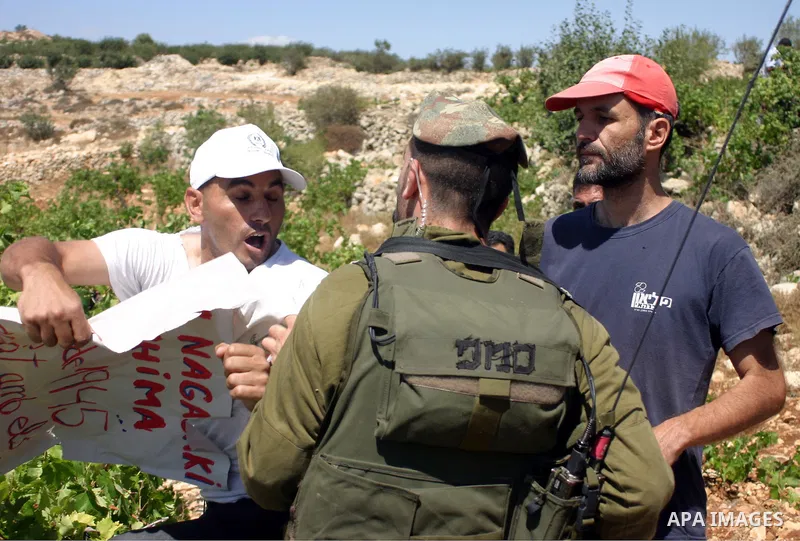 Israeli soldiers scuffle with Palestinian, Israeli and foreign activists during a demonstration against the cof farm land to be used in the construction of Jewish settlements near the existing Israeli settlement of Karmi...