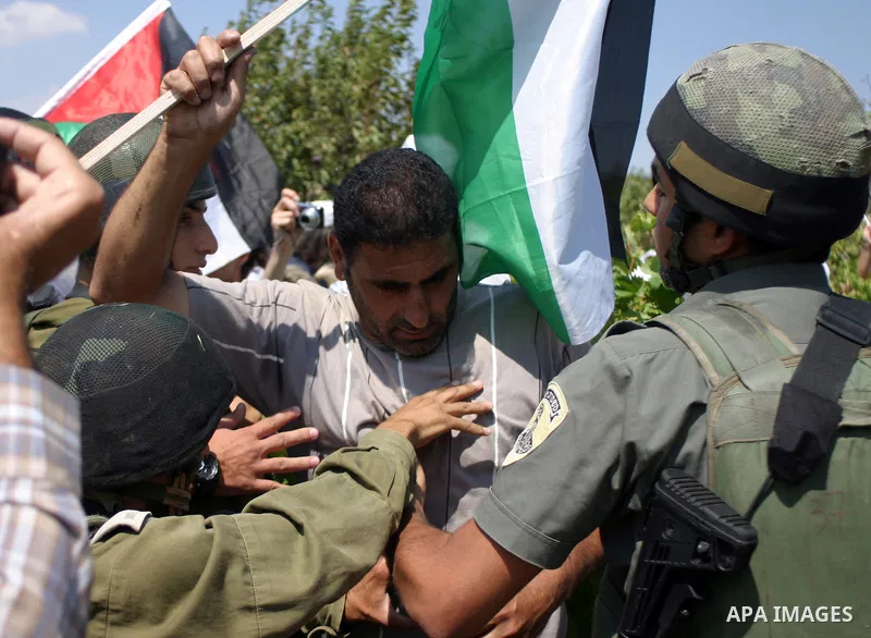 A demonstrator scuffle with Israeli soldiers during a demonstration by locals, left-wing Israelis, foreigner peace activists in Beit Omar, near the West Bank city of Hebron on August 20, 2011 against the latest Israeli a...