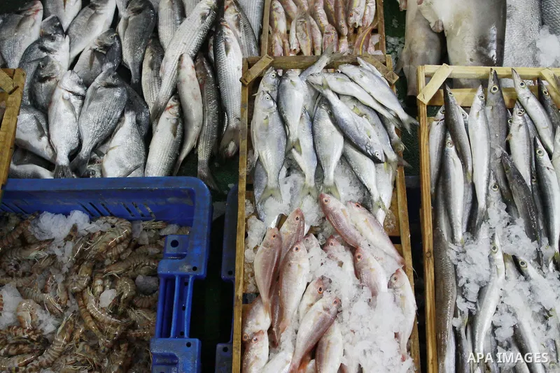 IIn this photo taken on May 5, 2011: Fresh fish at the Moneer abu Hassira restaurant in Gaza city, ordinary people and politicians alike are served top-class seafood at the Moneer abu Hassira restaurant, where their mott...