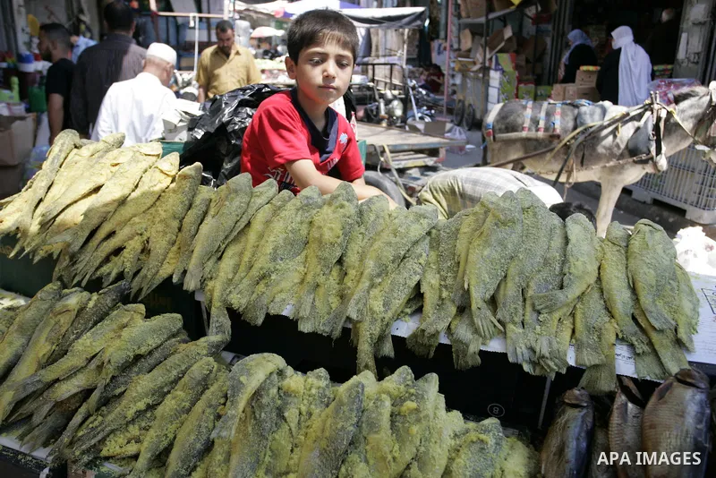 A Palestinian vendor sells fish as Muslims shop ahead of the Eid al-Fitr celebrations in Rafah, southern Gaza Strip on Aug. 28, 2011. Muslims in the region will celebrate the Eid al-Fitr holiday starting with the sightin...