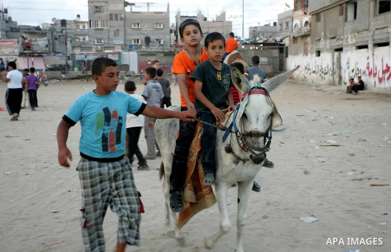 Palestinian children enjoy riding a donkey at the second day of the Eid al-Fitr holiday, which marks the end of the holy fasting month of Ramadan in Rafah in the southern Gaza Strip on August 31 2011. Photo by Abed Rahim...