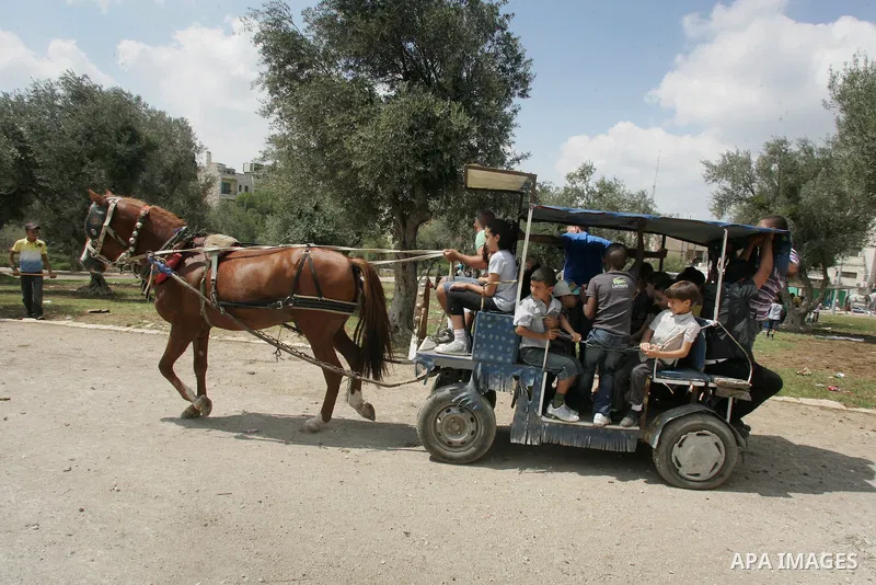 Palestinian boys ride Horses in Jerusalem's Old City, as Muslims celebrated the Eid al-Fitr holiday which marks the end of the holy fasting month of Ramadan outdoors on 1 Sep. 2011. Photo by Mahfouz Abu Turk