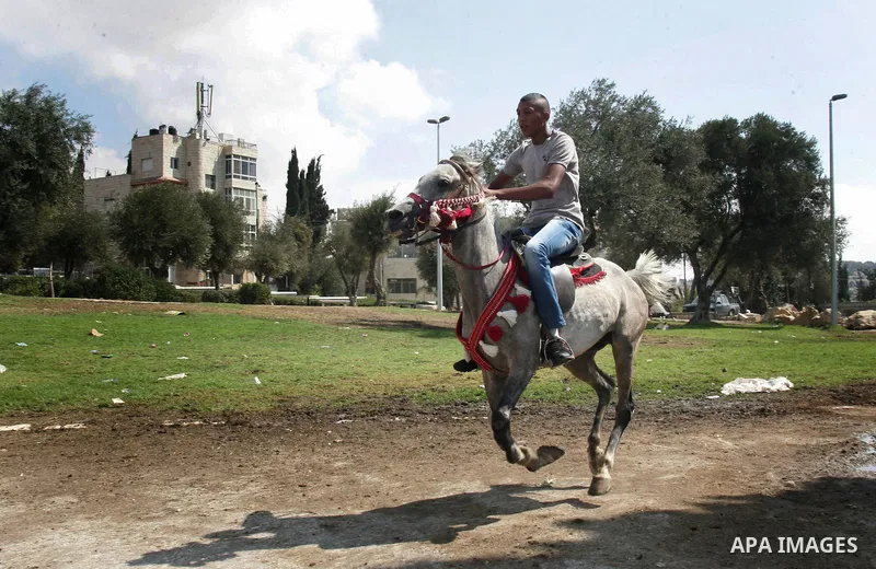 Palestinian boys ride Horses in Jerusalem's Old City, as Muslims celebrated the Eid al-Fitr holiday which marks the end of the holy fasting month of Ramadan outdoors on 1 Sep. 2011. Photo by Mahfouz Abu Turk