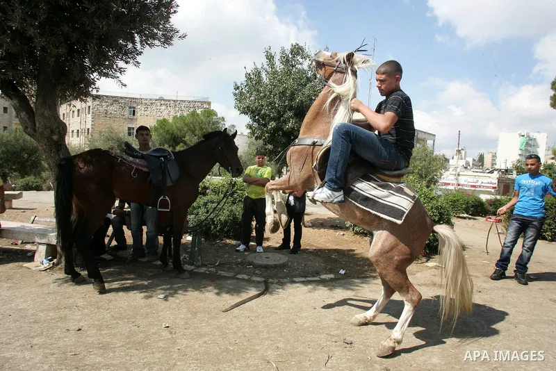 Palestinian boys ride Horses in Jerusalem's Old City, as Muslims celebrated the Eid al-Fitr holiday which marks the end of the holy fasting month of Ramadan outdoors on 1 Sep. 2011. Photo by Mahfouz Abu Turk