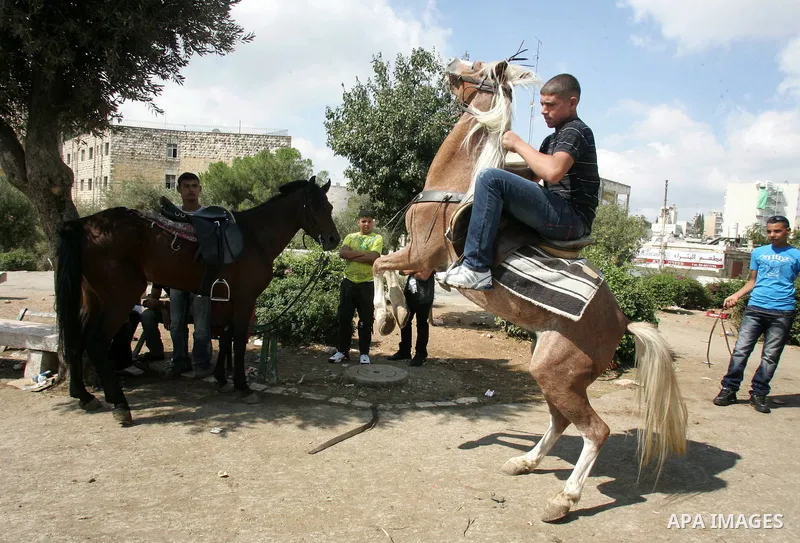Palestinian boys ride Horses in Jerusalem's Old City, as Muslims celebrated the Eid al-Fitr holiday which marks the end of the holy fasting month of Ramadan outdoors on 1 Sep. 2011. Photo by Mahfouz Abu Turk