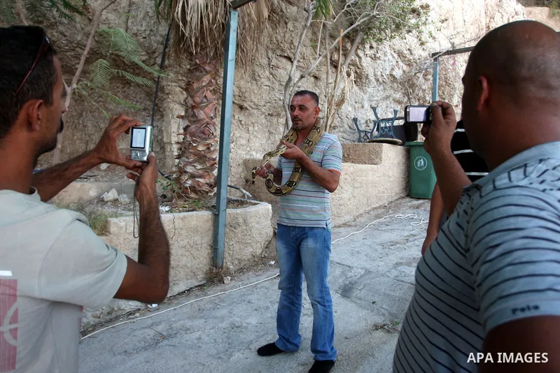 Palestinian youths take pictures as a man holds a pet snake on his shoulders as Muslims celebrated the Eid al-Fitr holiday which marks the end of the holy fasting month of Ramadan in the West Bank city of Jericho on Sept...
