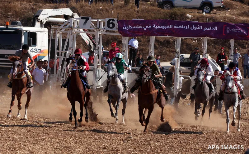 Palestinian jockeys compete during a horse race in the West Bank village of Abu Falah, near the town of Ramallah ,on 02 September 2011. Some 60 horses in different heats participated in races through the day, attracting...