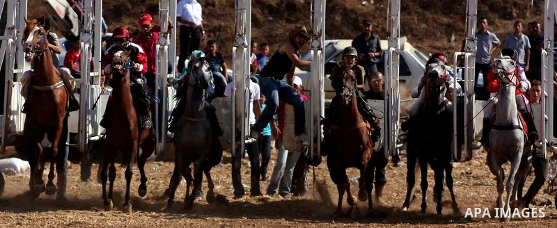 Palestinian jockeys compete during a horse race in the West Bank village of Abu Falah, near the town of Ramallah ,on 02 September 2011. Some 60 horses in different heats participated in races through the day, attracting...
