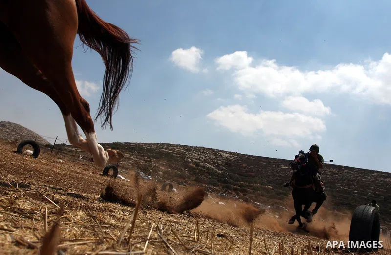 Palestinian jockeys compete during a horse race in the West Bank village of Abu Falah, near the town of Ramallah ,on 02 September 2011. Some 60 horses in different heats participated in races through the day, attracting...