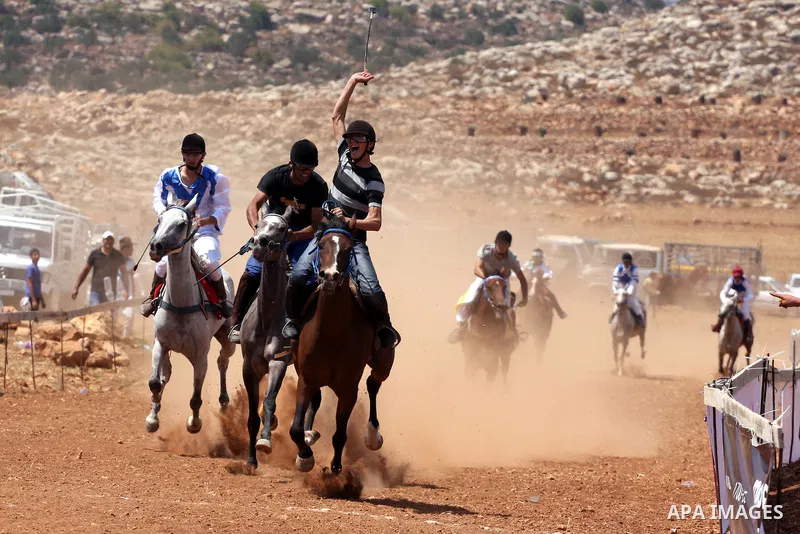 Palestinian jockeys compete during a horse race in the West Bank village of Abu Falah, near the town of Ramallah ,on 02 September 2011. Some 60 horses in different heats participated in races through the day, attracting...