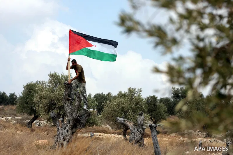 A Palestinian man waves a flag during a demonstration in the West Bank town of Bilin, near Ramallah, Friday, Sept. 9, 2011. The Palestinians have launched a campaign to rally support for U.N. recognition as an independen...