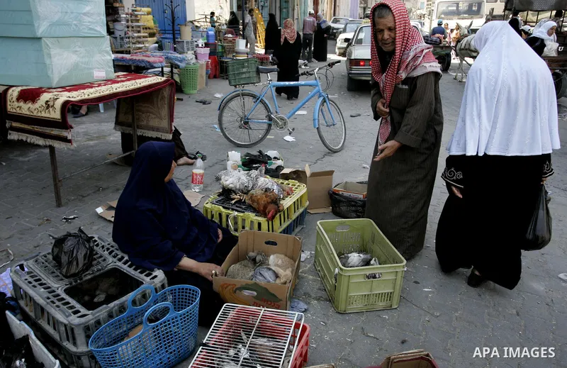 Palestinian vendors display birds for selling, at the market in the Rafah refugee camp, southern Gaza Strip on Sep 11, 2011. Photo by Abed Rahim Khatib
