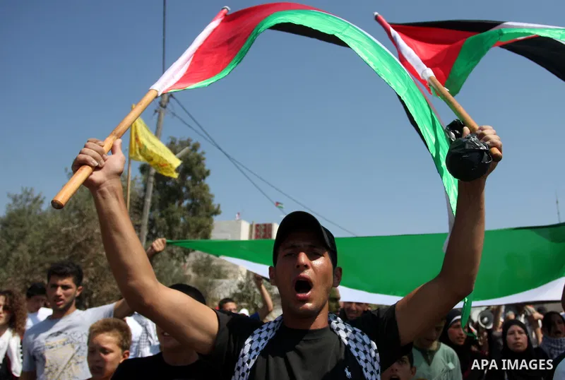 Palestinian demonstrators and international activists wave with Palestinian flag during a protest against the expansion of the nearby Jewish settlement of Halamish, in the West Bank village of Nabi Saleh, near Ramallah,...