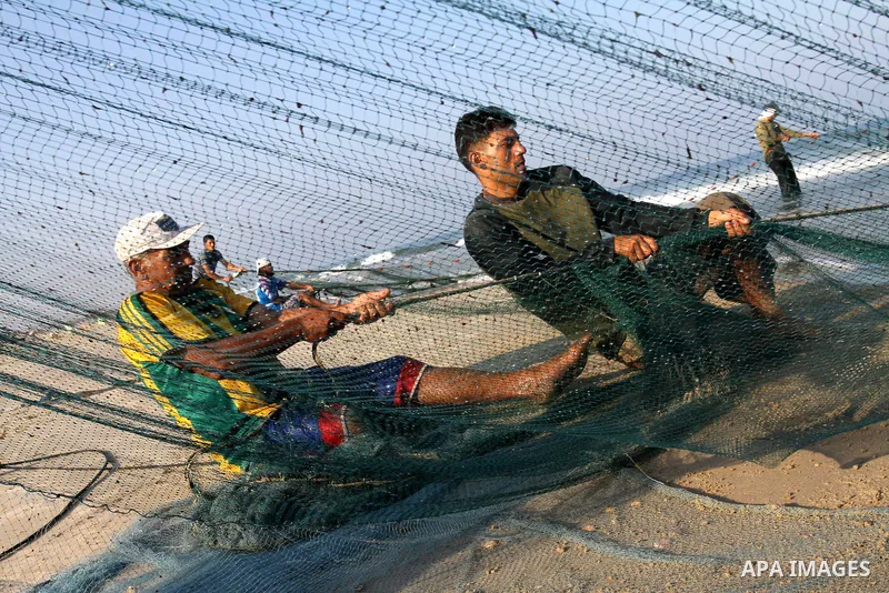 Palestinian fishermen pull their nets at the beach of Gaza city on Sep. 22, 2011. Palestinians hoped that the blockade is lifted from the sea, and setting "Palestine state 194", representing their hope to become the 194t...