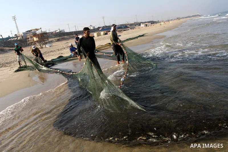 Palestinian fishermen pull their nets at the beach of Gaza city on Sep. 22, 2011. Palestinians hoped that the blockade is lifted from the sea, and setting "Palestine state 194", representing their hope to become the 194t...