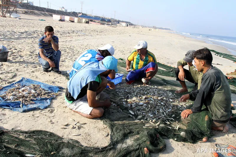 Palestinian fishermen show thier catch in the port of Gaza City on Sep. 22, 2011. Palestinians hoped that the blockade is lifted from the sea, and setting "Palestine state 194", representing their hope to become the 194t...