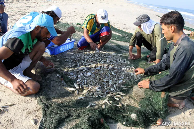 Palestinian fishermen show thier catch in the port of Gaza City on Sep. 22, 2011. Palestinians hoped that the blockade is lifted from the sea, and setting "Palestine state 194", representing their hope to become the 194t...
