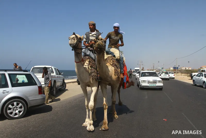 Palestinian men ride their camels at the beach in Gaza City on September 22, 2011. Hundreds of Palestinian took part in demonstrations in support of Palestinian leader Mahmud Abbas' bid for statehood recognition at the U...