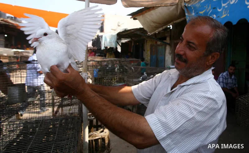 Palestinians during shopping fresh vegetables and goods at a market in Gaza City, on September 23, 2011. Palestinian President Mahmoud Abbas is set to speak later Friday at the U.N., and plans to call on the world body t...
