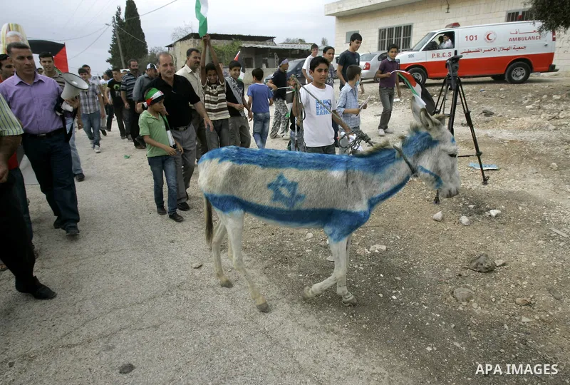 Palestinians display a donkey painted as an Israeli flag during a demonstration to support the Palestinian bid at the United Nations for statehood recognition on September 23, 2011 in the West Bank village of Kfar Kadum....