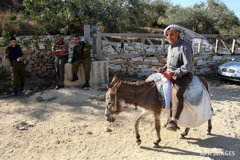 Israeli soldiers stand guard at a barrier erected on Palestinian land to protect nearby Jewish settlements in the occupied West Bank, as Palestinian farmers cross to harvest their olive groves just outside the Palestinia...