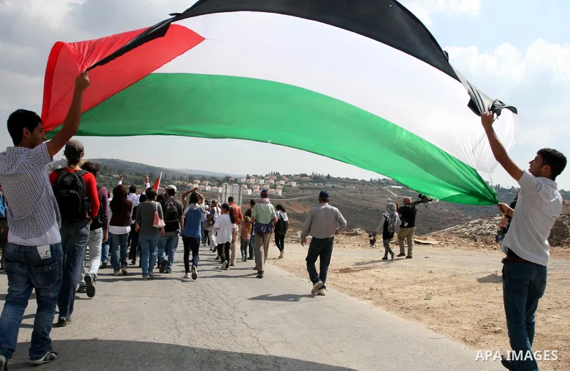 Palestinian youths wave their national flag during a weekly demonstration against Israeli settlement expansion, in the West Bank village of Nabi Saleh, on October 7, 2011. Photo by Issam Rimawi