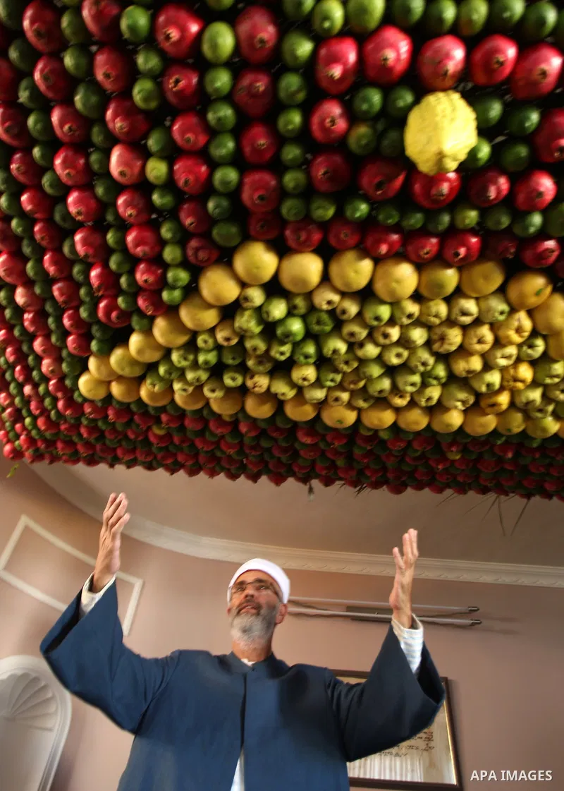 A man from the ancient Samaritan community decorates a Sukkah made from fresh fruit for the holiday of the Tabernacles, or Sukkot, in Mount Gerizim near the West Bank town of Nablus, Monday, Oct. 10, 2011. The Sukkah is...