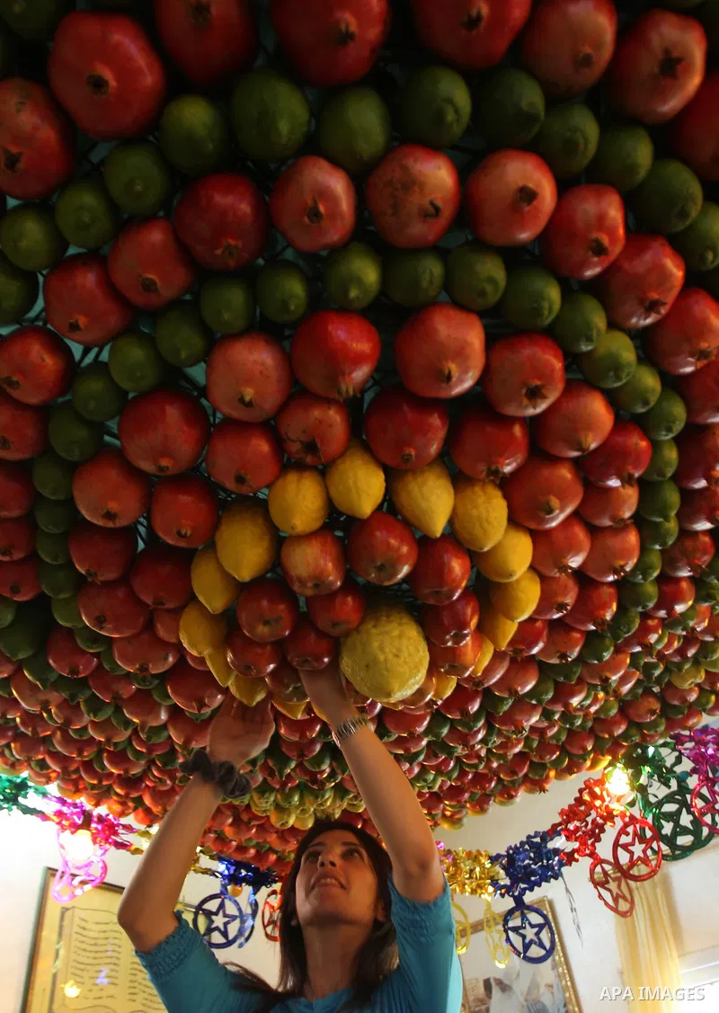 A woman from the ancient Samaritan community decorates a Sukkah made from fresh fruit for the holiday of the Tabernacles, or Sukkot, in Mount Gerizim near the West Bank town of Nablus, Monday, Oct. 10, 2011. The Sukkah i...