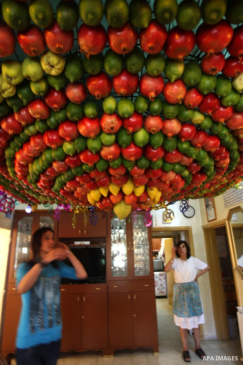 A woman from the ancient Samaritan community decorates a Sukkah made from fresh fruit for the holiday of the Tabernacles, or Sukkot, in Mount Gerizim near the West Bank town of Nablus, Monday, Oct. 10, 2011. The Sukkah i...