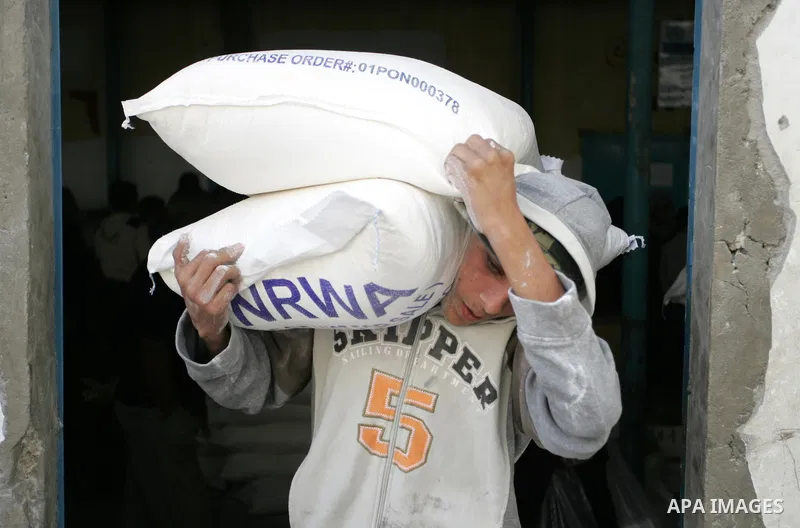 Palestinians collect food aid from the United Nations Relief and Works Agency (UNRWA) in the Rafah refugee camp, southern Gaza Strip, on November 01, 2011. Palestine became a full member of the U.N. cultural and educatio...