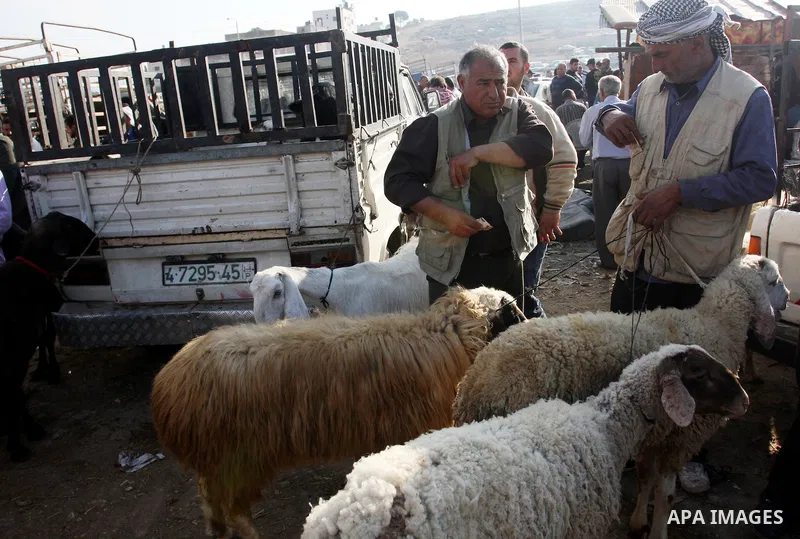 Palestinians gather around goats and sheep for sale at a market in preparation for the upcomming Eid al-Adha festival in the West Bank city of Nablus, Wednesday Nov. 3, 2011. Muslims worldwide are preparing for the Eid a...