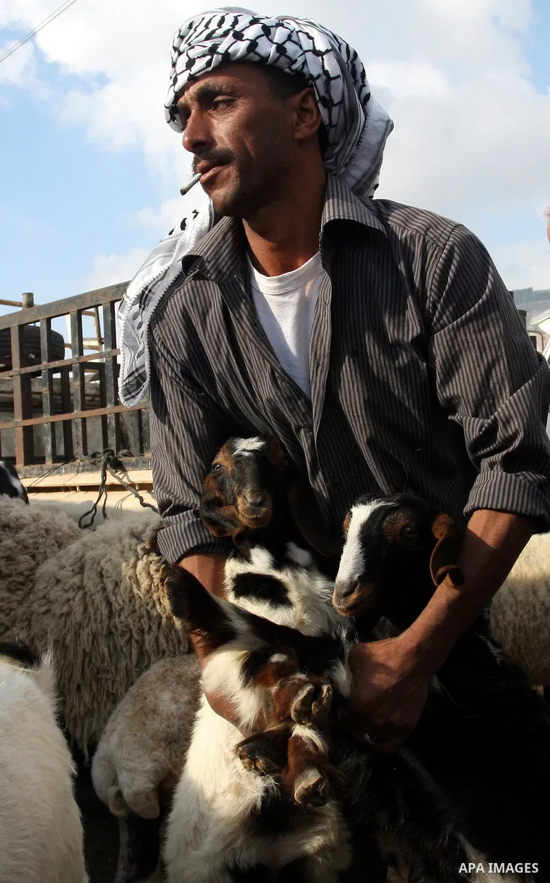 Palestinians gather around goats and sheep for sale at a market in preparation for the upcomming Eid al-Adha festival in the West Bank city of Nablus, Wednesday Nov. 3, 2011. Muslims worldwide are preparing for the Eid a...