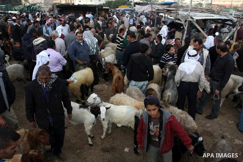 Palestinians gather around goats and sheep for sale at a market in preparation for the upcomming Eid al-Adha festival in the West Bank city of Nablus, Wednesday Nov. 3, 2011. Muslims worldwide are preparing for the Eid a...