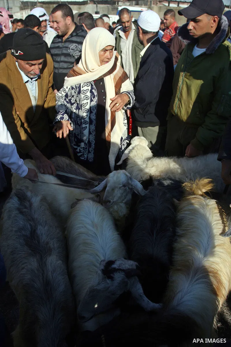 Palestinian men buy sheeps at a livestock market in preparation for the upcoming Eid al-Adha holiday in the West Bank city of Ramallah, Saturday, Nov. 5, 2011. Muslims worldwide are preparing for the Eid al-Adha holiday,...