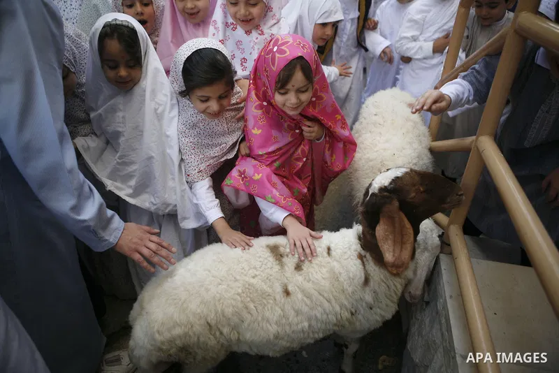 Palestinian children perform a simulated pilgrimage celebrating the upcoming Islamic pilgrimage and Eid al-Adha festival in the West Bank city Nablus, Thursday, Nov. 5, 2011. Palestinian Muslims will celebrate Eid al-Adh...