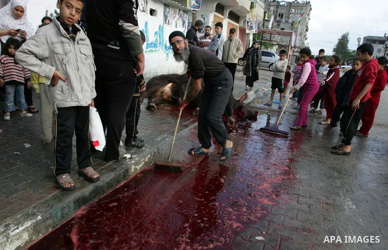 Palestinians slaughter their livestock on the first day of Eid al-Adha in the Rafah Refugee Camp, Gaza Strip, Sunday, Nov. 6, 2011. Muslims worldwide celebrate Eid al-Adha, or the Feast of the Sacrifice by sacrificial ki...