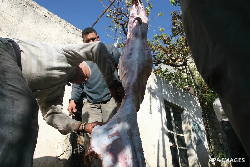 A Palestinian butchers stands in the blood of slaughtered sheep on the first day of Eid al-Adha in the West Bank city of Hebron on Nov. 06, 2011. Muslims worldwide celebrate Eid al-Adha, or the Feast of the Sacrifice, by...