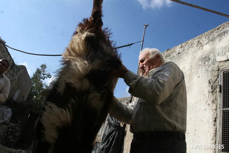 A Palestinian butchers stands in the blood of slaughtered sheep on the first day of Eid al-Adha in the West Bank city of Hebron on Nov. 06, 2011. Muslims worldwide celebrate Eid al-Adha, or the Feast of the Sacrifice, by...