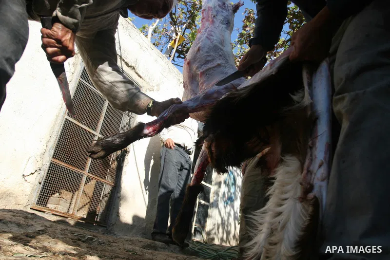 A Palestinian butchers stands in the blood of slaughtered sheep on the first day of Eid al-Adha in the West Bank city of Hebron on Nov. 06, 2011. Muslims worldwide celebrate Eid al-Adha, or the Feast of the Sacrifice, by...