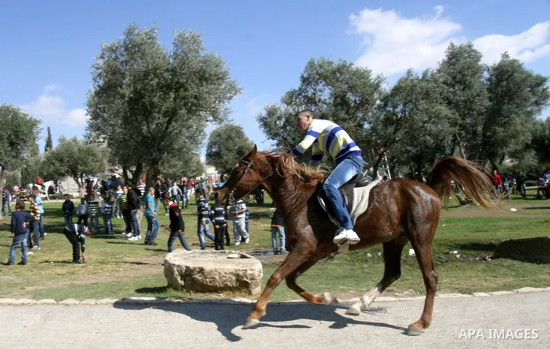 Palestinians enjoy riding horses during the second day of Eid al-Adha in Jerusalem's old city on November 7, 2011. Muslims worldwide commemorate the Eid al-Adha, or the Feast of the Sacrifice, marking the end of the Hajj...